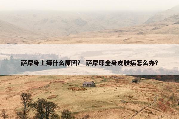 萨摩身上痒什么原因？ 萨摩耶全身皮肤病怎么办？