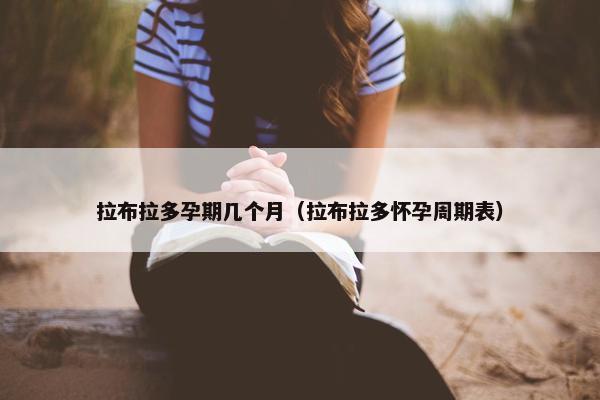 拉布拉多孕期几个月（拉布拉多怀孕周期表）