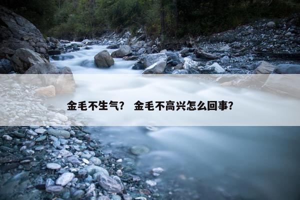 金毛不生气？ 金毛不高兴怎么回事？