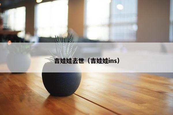 吉娃娃去世（吉娃娃ins）