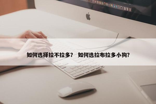 如何选择拉不拉多？ 如何选拉布拉多小狗？