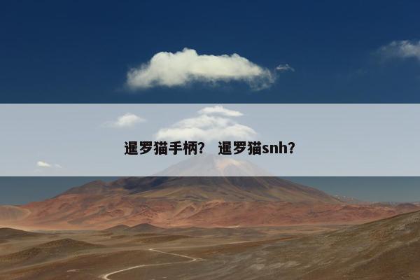 暹罗猫手柄？ 暹罗猫snh？