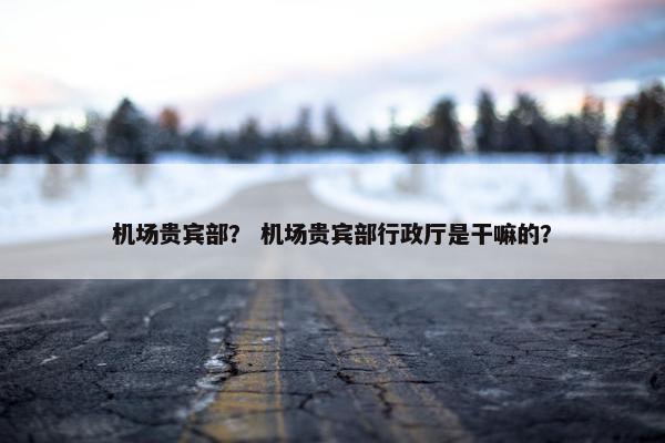 机场贵宾部？ 机场贵宾部行政厅是干嘛的？