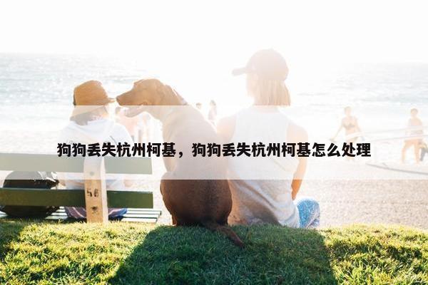 狗狗丢失杭州柯基，狗狗丢失杭州柯基怎么处理