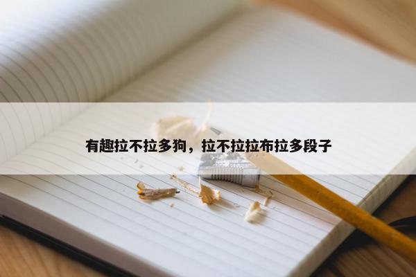 有趣拉不拉多狗，拉不拉拉布拉多段子