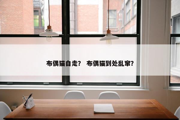 布偶猫自走？ 布偶猫到处乱窜？