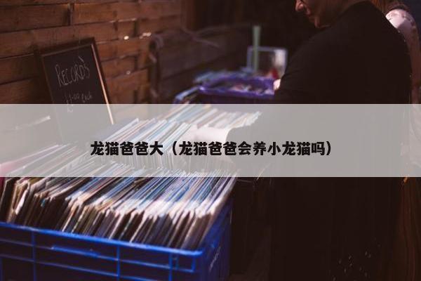 龙猫爸爸大（龙猫爸爸会养小龙猫吗）
