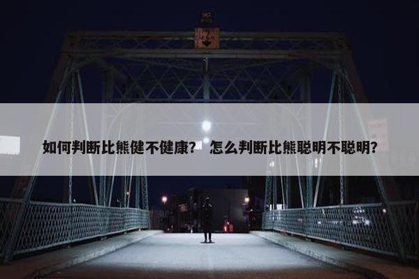如何判断比熊健不健康？ 怎么判断比熊聪明不聪明？