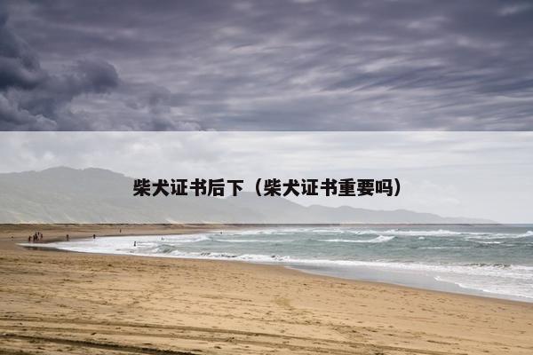 柴犬证书后下（柴犬证书重要吗）