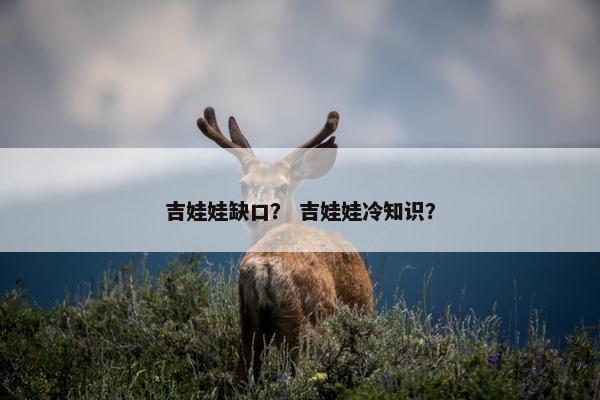 吉娃娃缺口？ 吉娃娃冷知识？