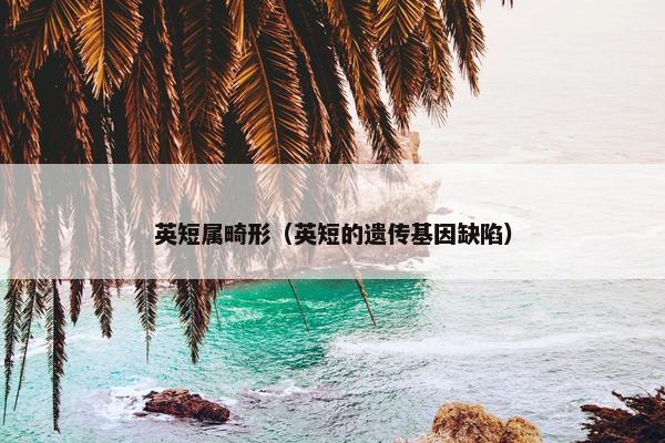 英短属畸形（英短的遗传基因缺陷）