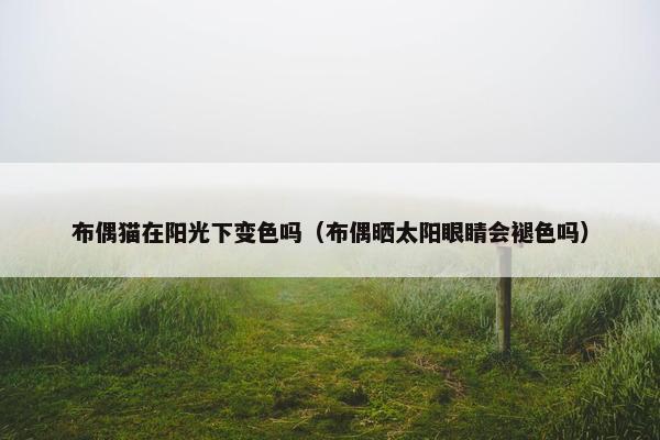 布偶猫在阳光下变色吗（布偶晒太阳眼睛会褪色吗）