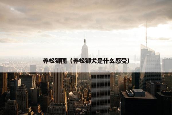 养松狮图（养松狮犬是什么感受）