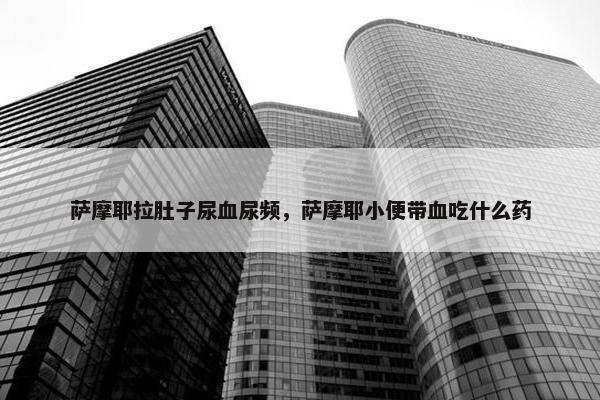 萨摩耶拉肚子尿血尿频，萨摩耶小便带血吃什么药