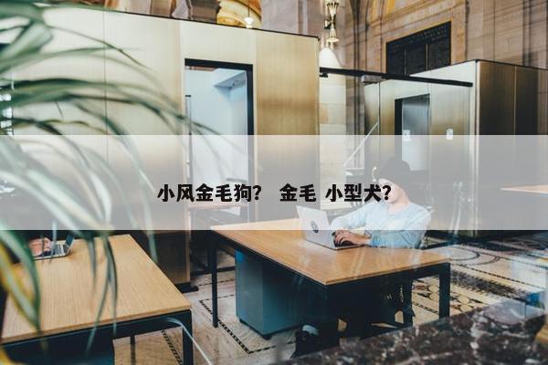 小风金毛狗？ 金毛 小型犬？