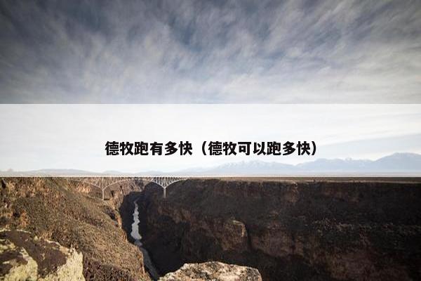 德牧跑有多快（德牧可以跑多快）