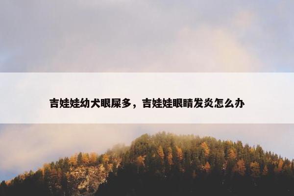 吉娃娃幼犬眼屎多，吉娃娃眼睛发炎怎么办