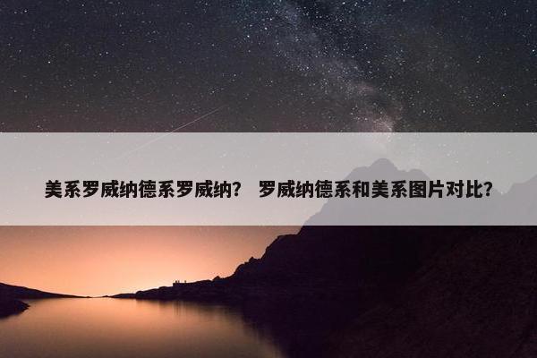 美系罗威纳德系罗威纳？ 罗威纳德系和美系图片对比？