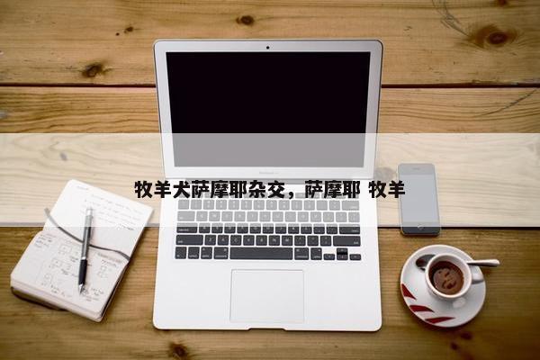 牧羊犬萨摩耶杂交，萨摩耶 牧羊
