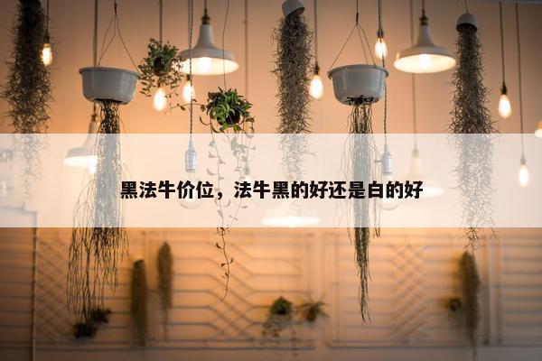 黑法牛价位，法牛黑的好还是白的好