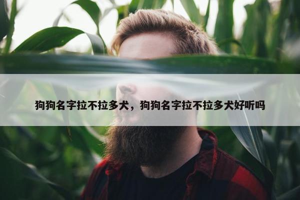 狗狗名字拉不拉多犬，狗狗名字拉不拉多犬好听吗