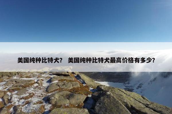 美国纯种比特犬？ 美国纯种比特犬最高价格有多少？