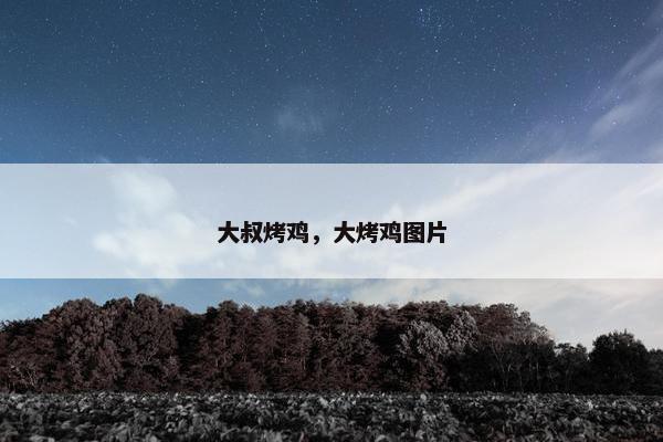 大叔烤鸡，大烤鸡图片