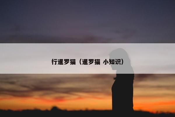 行暹罗猫（暹罗猫 小知识）