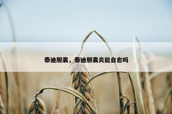 泰迪胆囊，泰迪胆囊炎能自愈吗