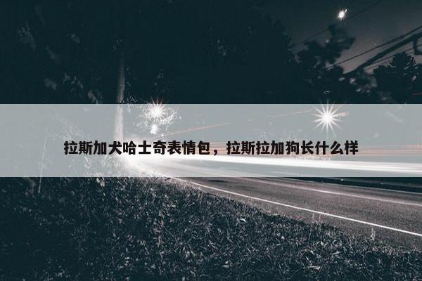 拉斯加犬哈士奇表情包，拉斯拉加狗长什么样