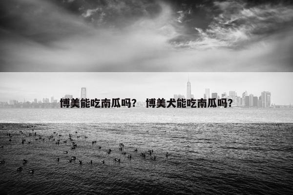 博美能吃南瓜吗？ 博美犬能吃南瓜吗？