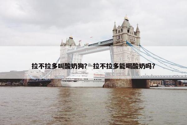 拉不拉多叫酸奶狗？ 拉不拉多能喝酸奶吗？