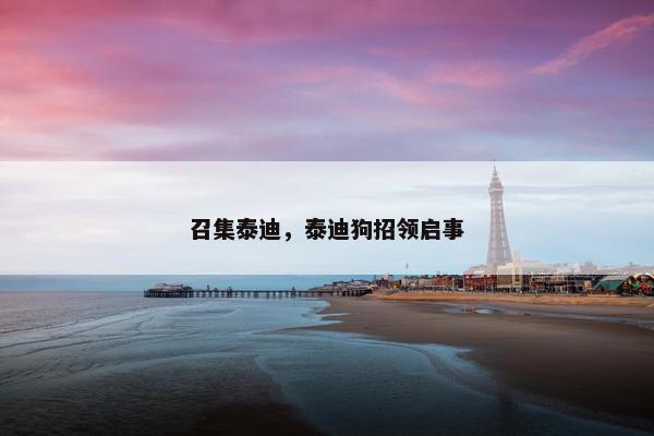 召集泰迪，泰迪狗招领启事