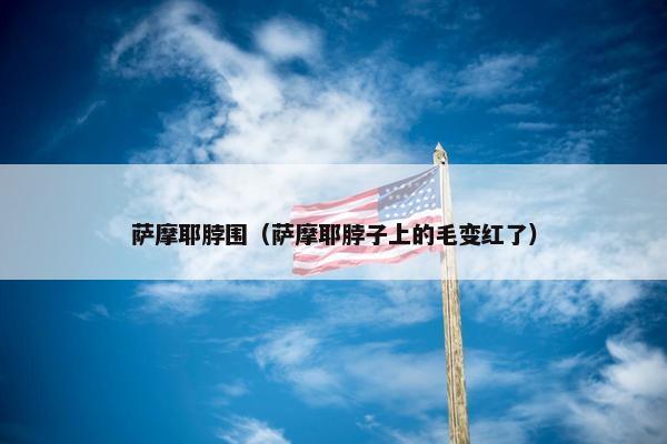 萨摩耶脖围（萨摩耶脖子上的毛变红了）