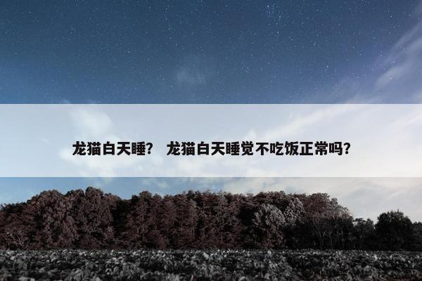 龙猫白天睡？ 龙猫白天睡觉不吃饭正常吗？