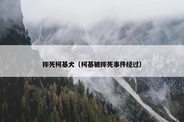 摔死柯基犬（柯基被摔死事件经过）