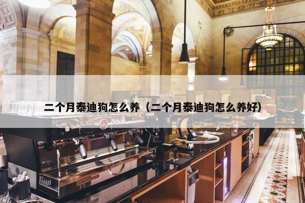 二个月泰迪狗怎么养（二个月泰迪狗怎么养好）