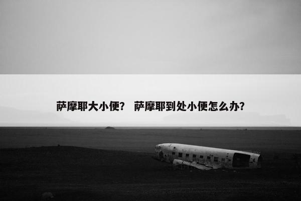 萨摩耶大小便？ 萨摩耶到处小便怎么办？