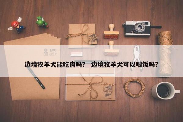 边境牧羊犬能吃肉吗？ 边境牧羊犬可以喂饭吗？