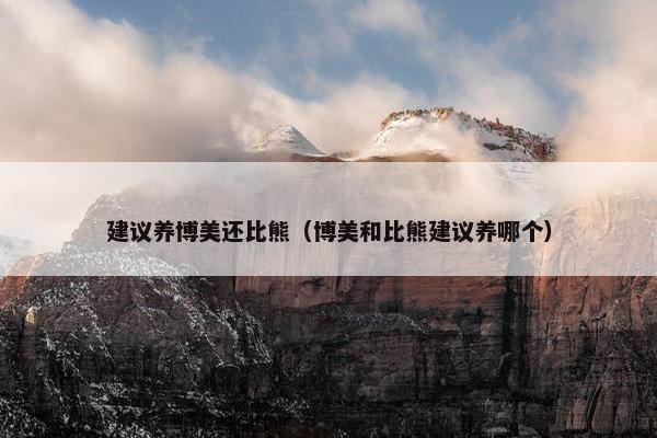 建议养博美还比熊（博美和比熊建议养哪个）