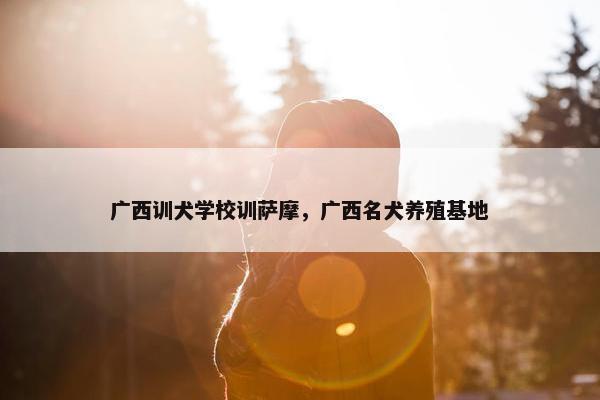 广西训犬学校训萨摩，广西名犬养殖基地