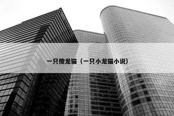 一只傻龙猫（一只小龙猫小说）