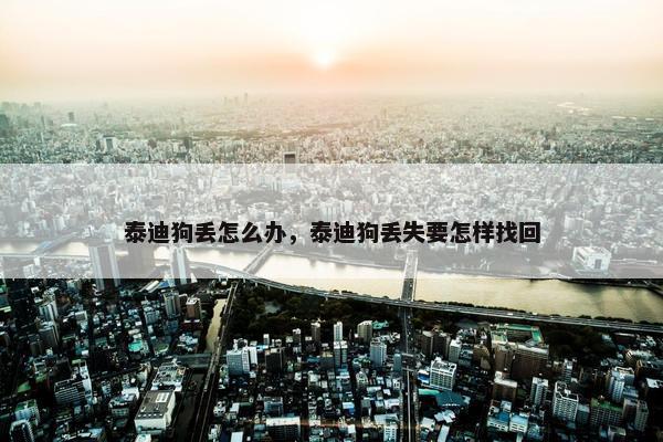泰迪狗丢怎么办，泰迪狗丢失要怎样找回
