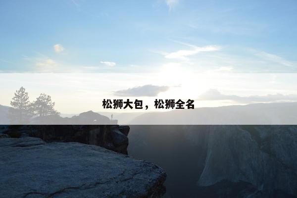 松狮大包，松狮全名