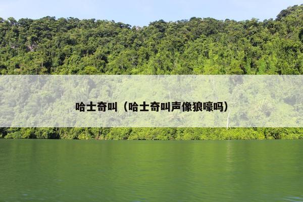 哈士奇叫（哈士奇叫声像狼嚎吗）