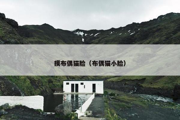 摸布偶猫脸（布偶猫小脸）