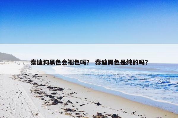 泰迪狗黑色会褪色吗？ 泰迪黑色是纯的吗？
