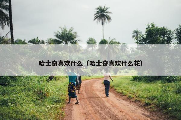 哈士奇喜欢什么（哈士奇喜欢什么花）