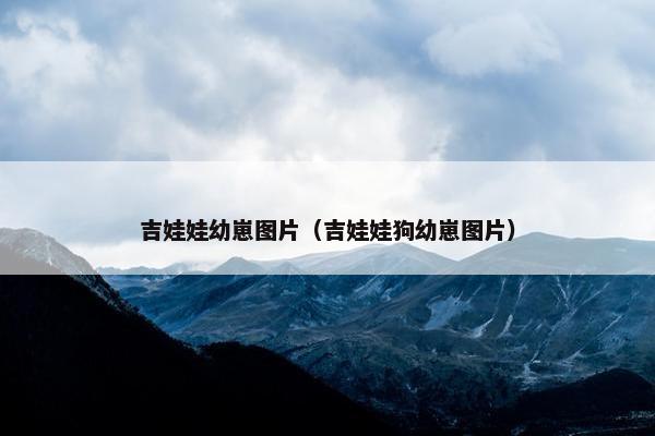 吉娃娃幼崽图片（吉娃娃狗幼崽图片）