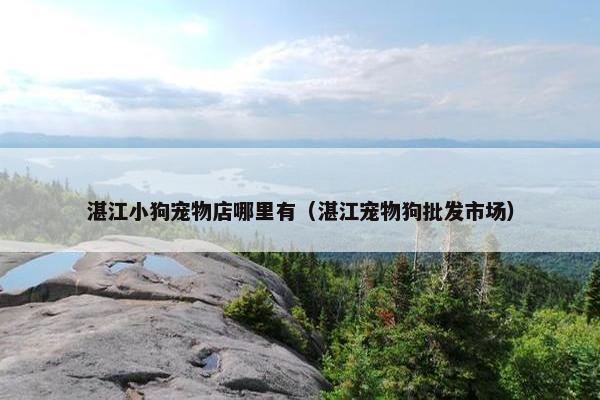湛江小狗宠物店哪里有（湛江宠物狗批发市场）